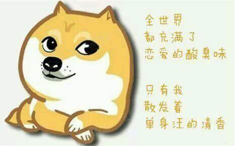 调侃自己单身的句子精选