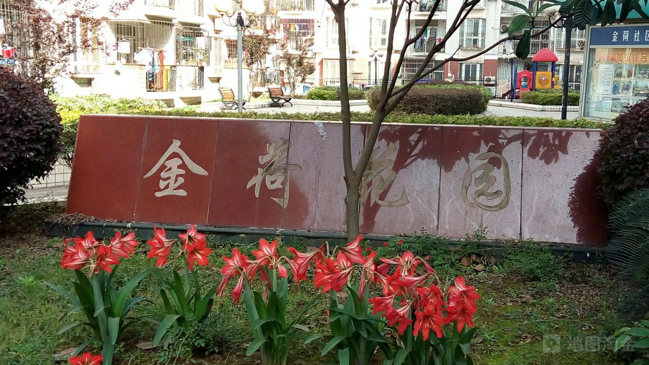 金荷花园 金荷花园
