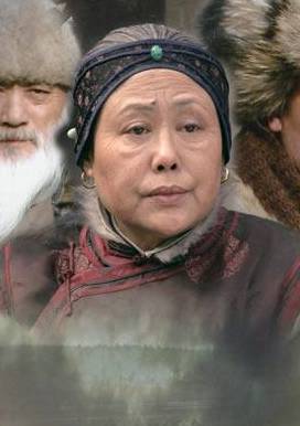 虎踞龙盘(2006年杨凡主演电视剧)