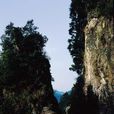 四明山(湖南省四明山) 四明山(湖南省四明山)