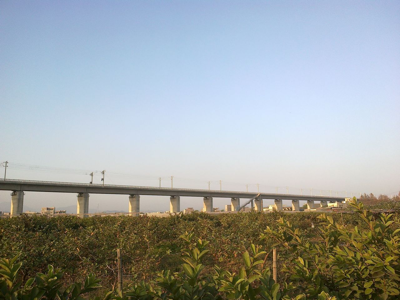 隆都(广东省汕头市下辖镇) 隆都(广东省汕头市下辖镇)