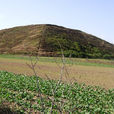 平陵(陵墓) 平陵(陵墓)