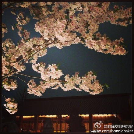 仓本聪《学》