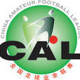 2007年全国足球业余联赛 2007年全国足球业余联赛