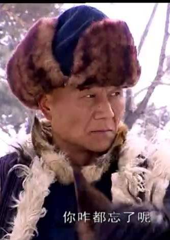 虎踞龙盘(2006年杨凡主演电视剧)