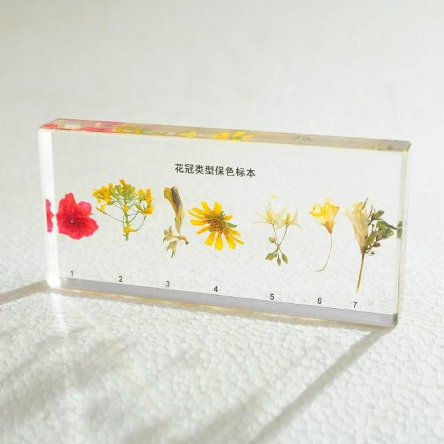 菏泽森泰教学用品有限公司 菏泽森泰教学用品有限公司