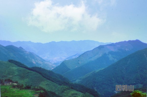 四明山森林公园 四明山森林公园