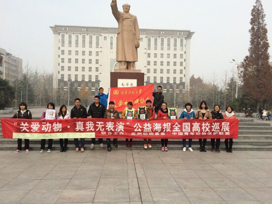 河师大环协2015年动保活动 河师大环协2015年动保活动