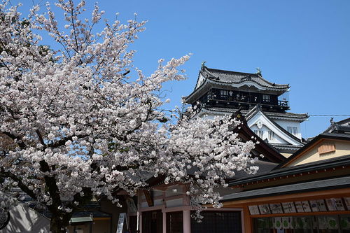 冈崎城天守阁 冈崎城天守阁