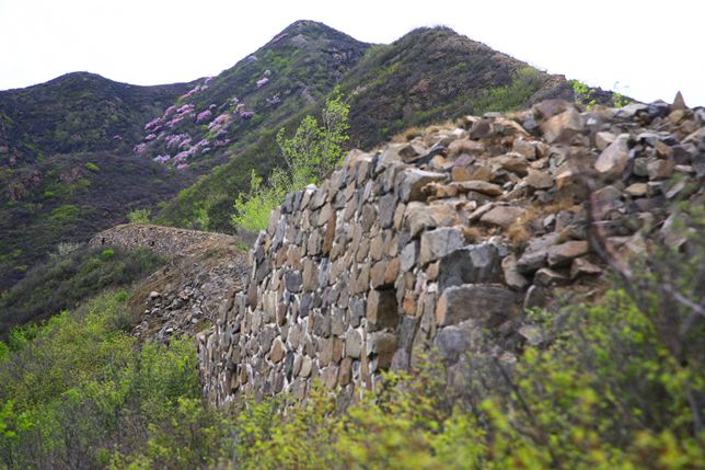 三司村 三司村