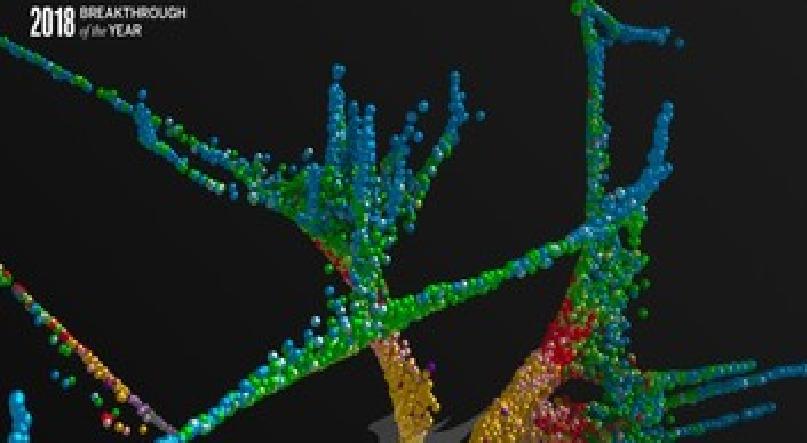 2018十大科学突破技术 2018十大科学突破技术