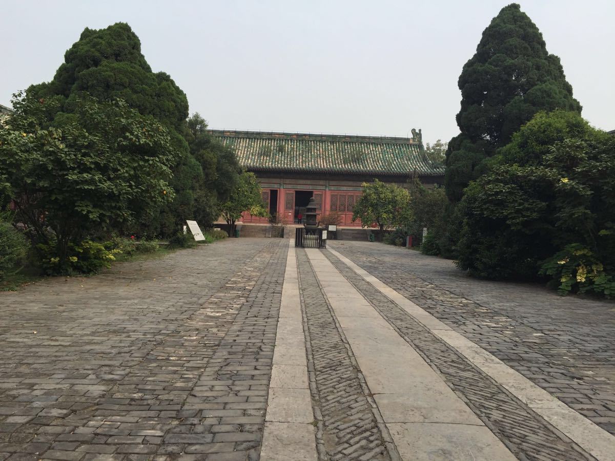 袁林 袁林