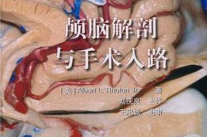 RHOTON?颅脑解剖与手术入路 RHOTON?颅脑解剖与手术入路