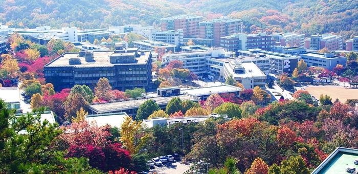 校园风景 校园风景