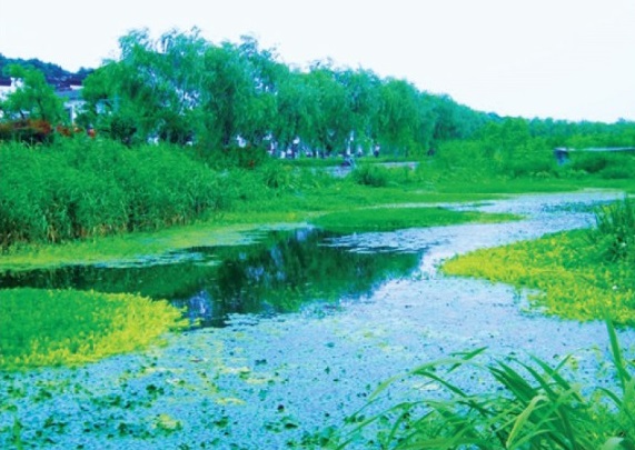 原位生物修复 原位生物修复
