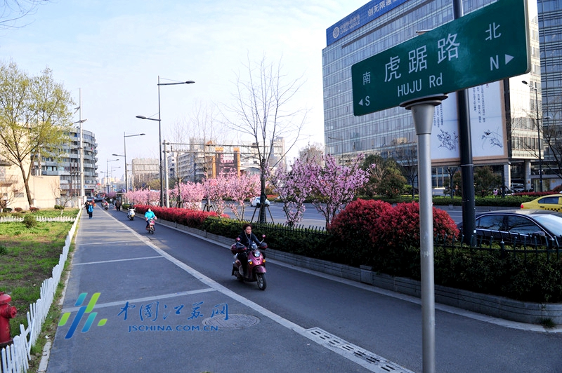 虎踞路街景 虎踞路街景