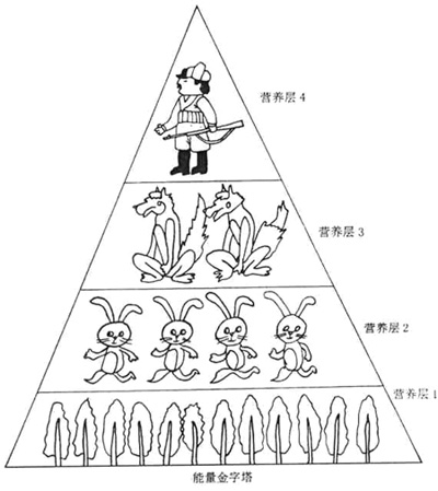 能量金字塔 能量金字塔