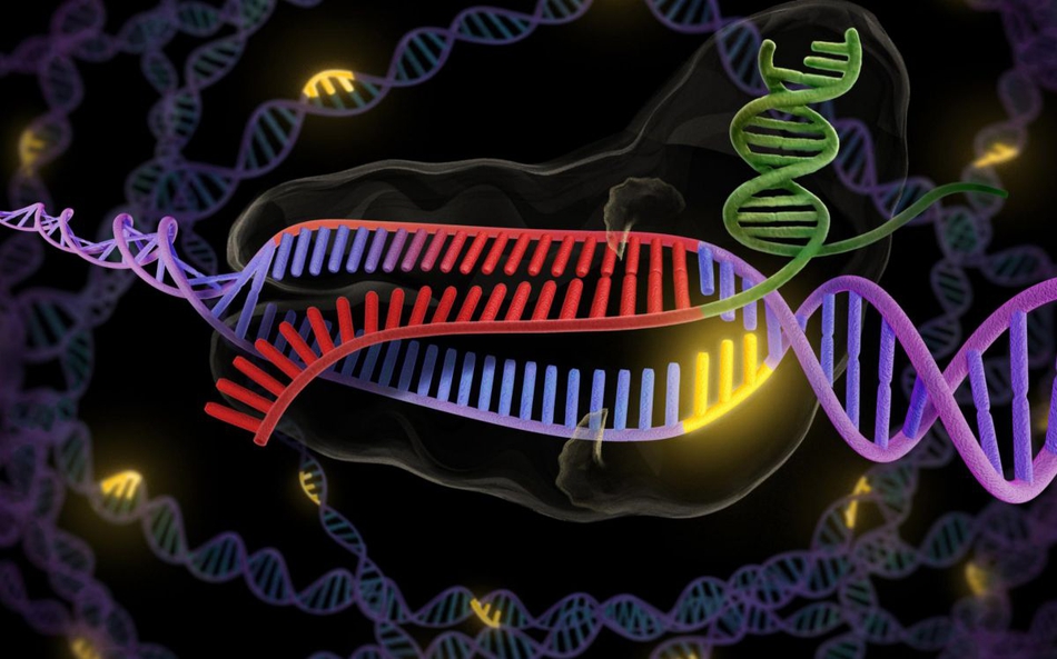 CRISPR CRISPR