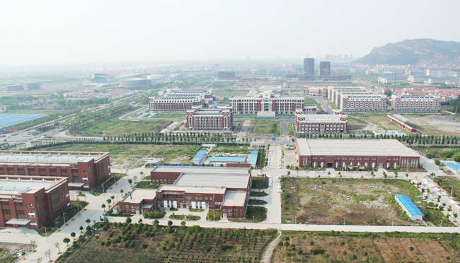 新海新区北片区实景 新海新区北片区实景