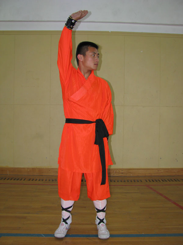 洪拳 鹤拳 洪拳 鹤拳