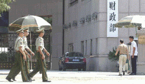 公开发行 公开发行