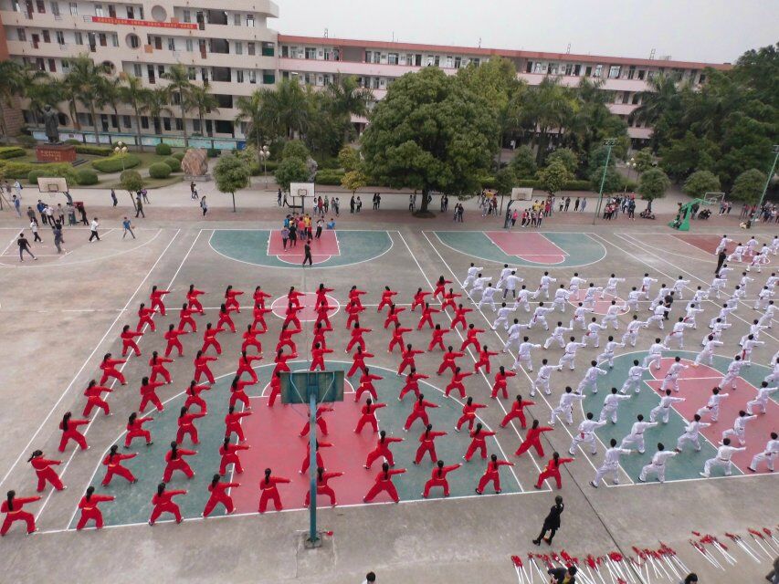 武鸣中学武术队 武鸣中学武术队