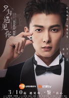 只为遇见你(2018年张铭恩、文咏珊主演电视剧)