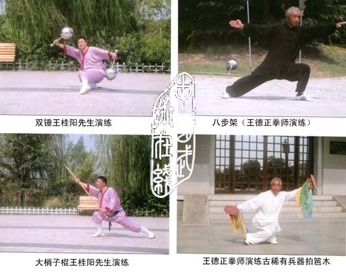 二洪拳 二洪拳