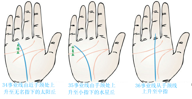 事业线 事业线