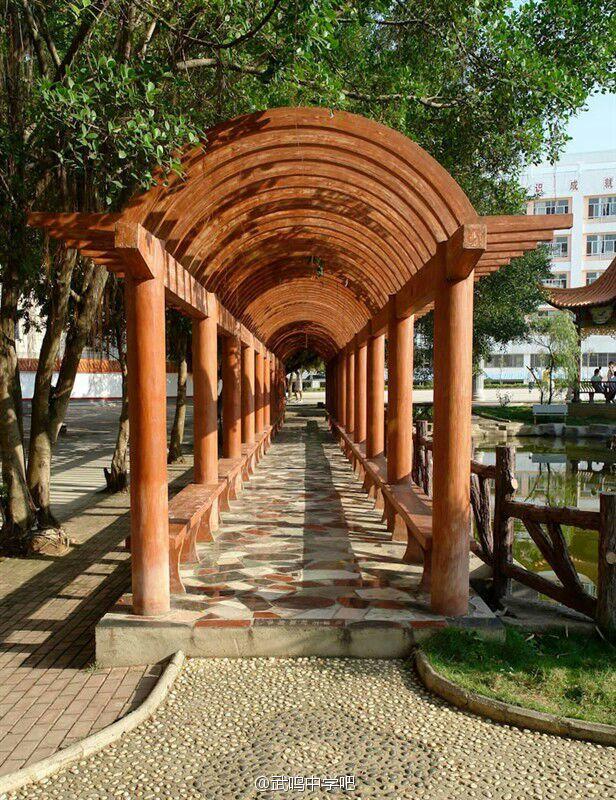 武鸣中学 武鸣中学
