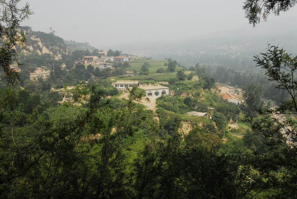 辛安村(山东黄岛区辛安街道下辖村) 辛安村(山东黄岛区辛安街道下辖村)