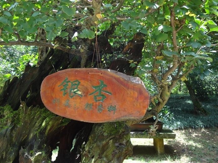 泰安普照寺 泰安普照寺