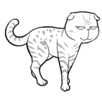 龙与猫之国 龙与猫之国