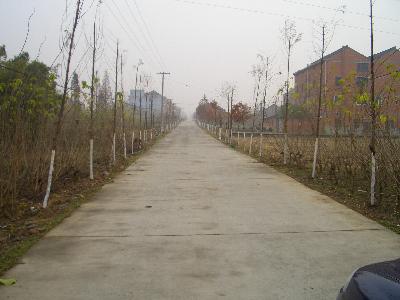 道路硬化 道路硬化