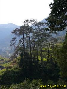 仙人洞自然风景旅游区 仙人洞自然风景旅游区