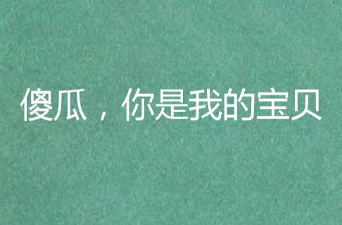 傻瓜，你是我的宝贝