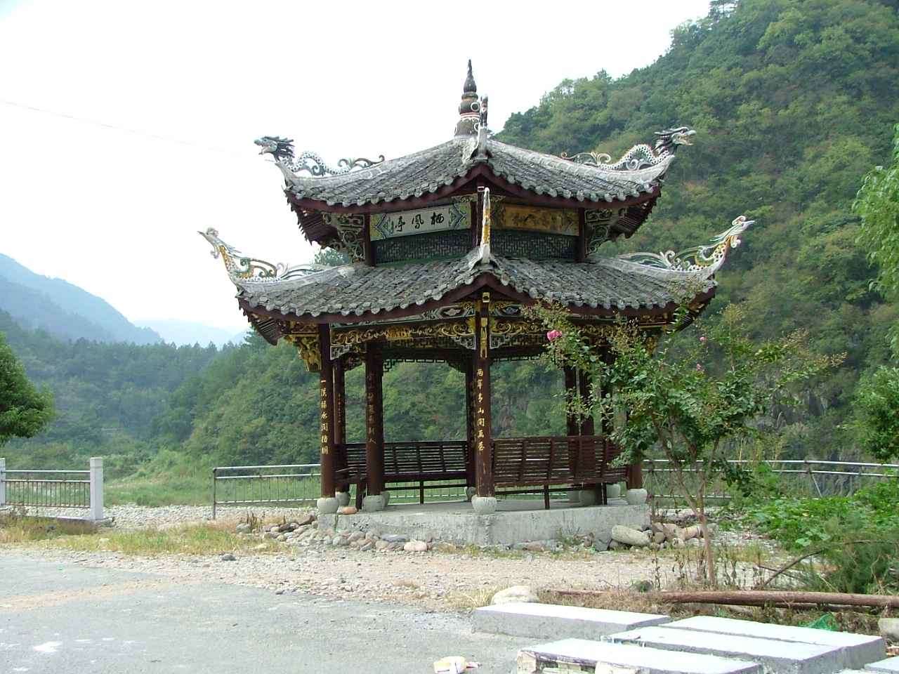 梧桐村老人协会 梧桐村老人协会