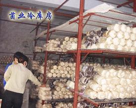 刘易斯模式 刘易斯模式