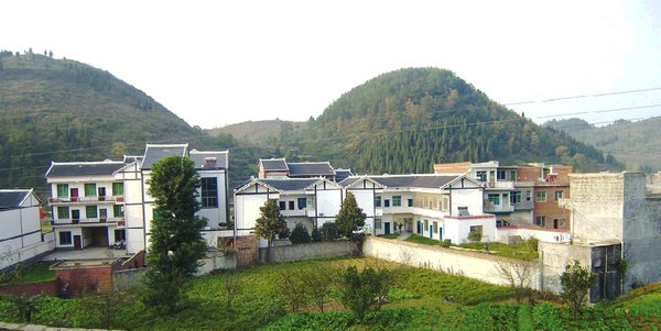 官田乡 官田乡