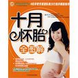 十月怀胎全图解 十月怀胎全图解