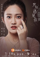 只为遇见你(2018年张铭恩、文咏珊主演电视剧)