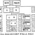 亲等 亲等