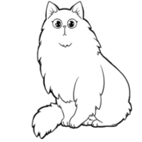 龙与猫之国 龙与猫之国