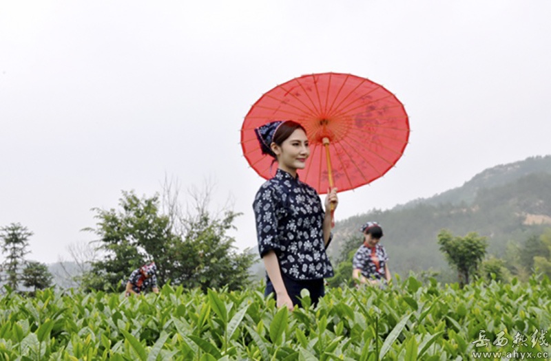 翠兰说 翠兰说