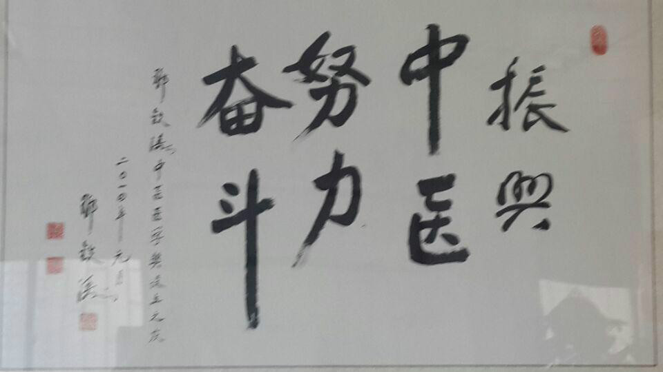 广东省发展中医药事业基金会 广东省发展中医药事业基金会