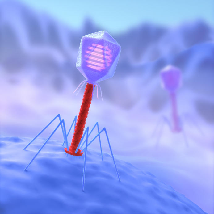 CRISPR CRISPR