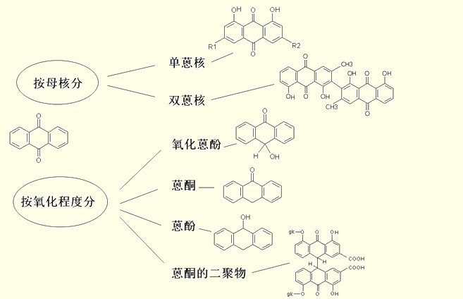 分类 分类