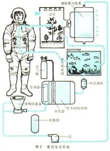 生命保障系统 生命保障系统