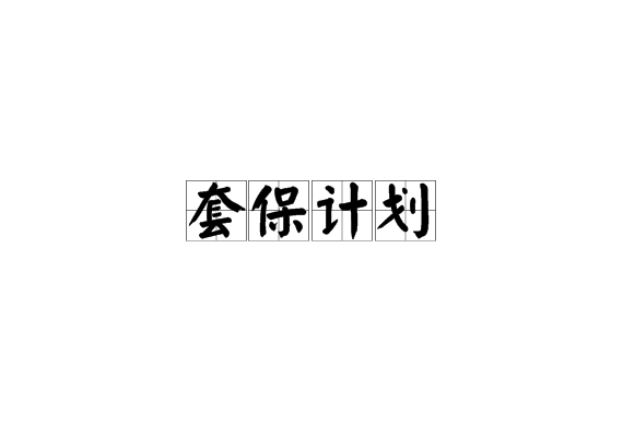套保计画 套保计画