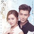只为遇见你(2018年张铭恩、文咏珊主演电视剧) 只为遇见你(2018年张铭恩、文咏珊主演电视剧)